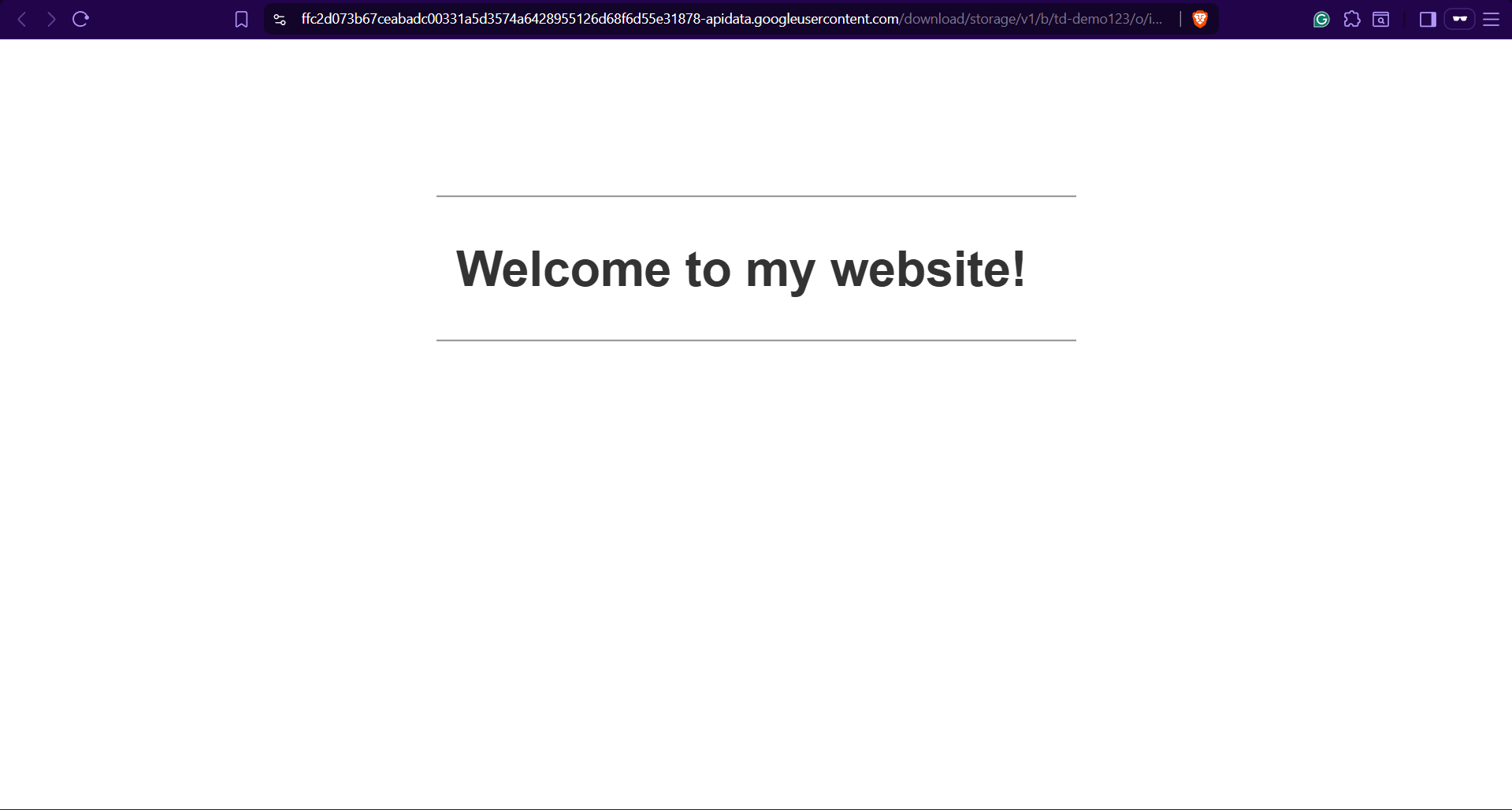Guided Lab: Hosting a Static Website in Google Cloud Storage Bucket ...