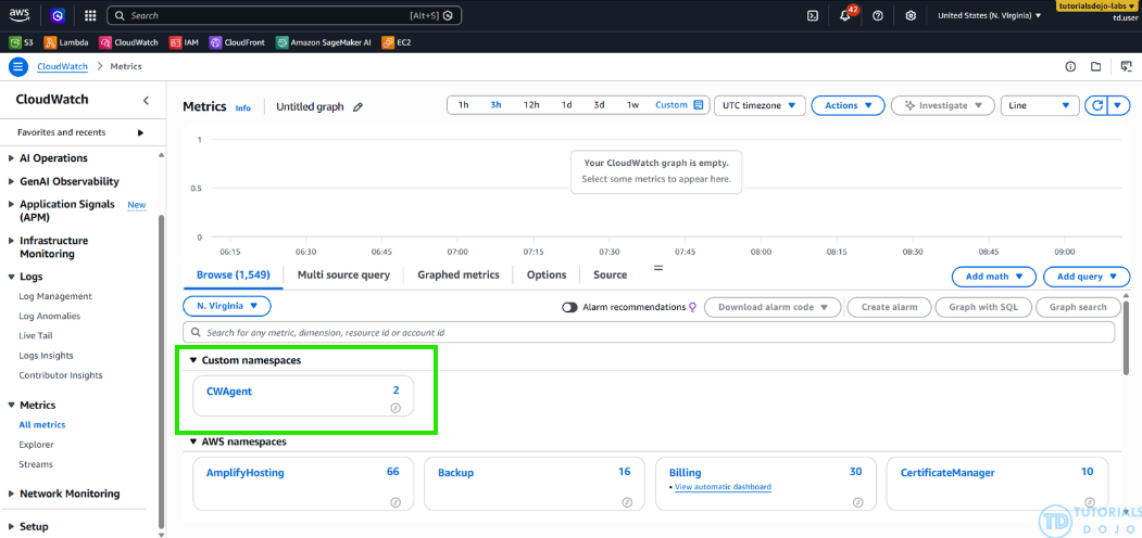 CloudWatchCustomMetric