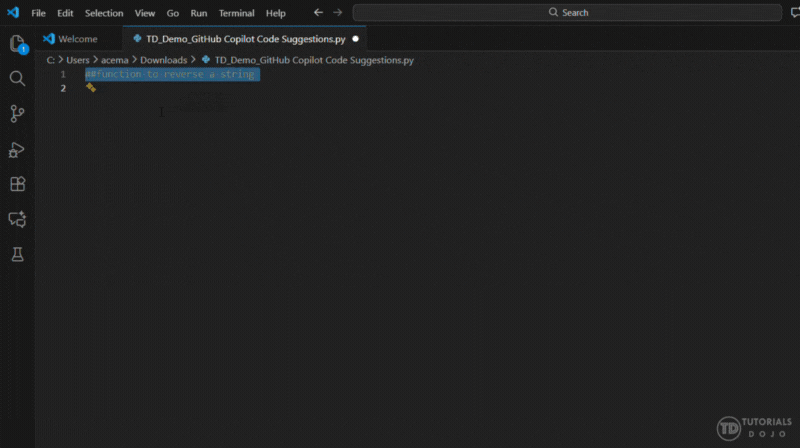 GitHub Copilot Code Suggestions
