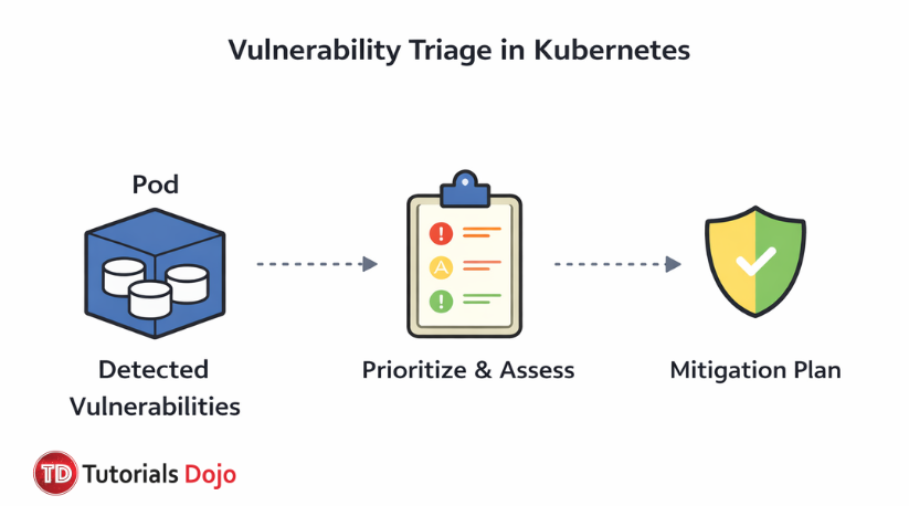Vulnerability Triage